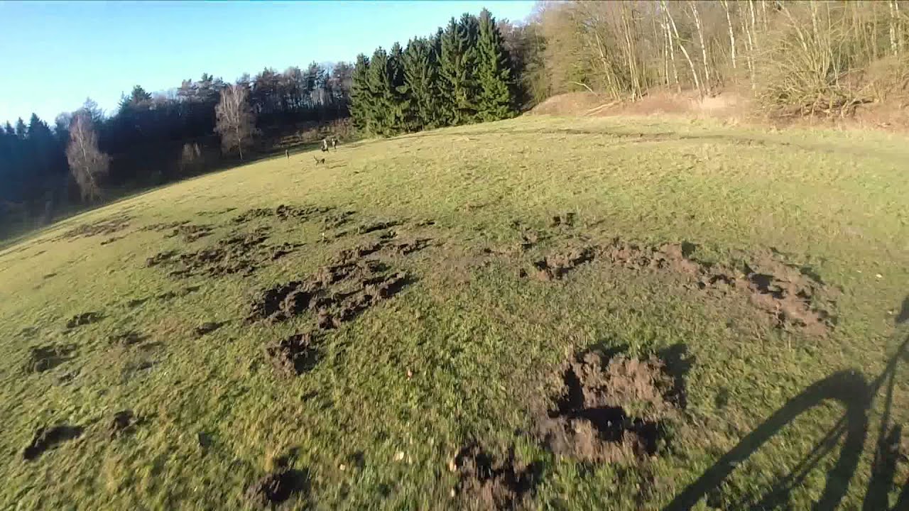 Dog attacks mountainbikers - YouTube