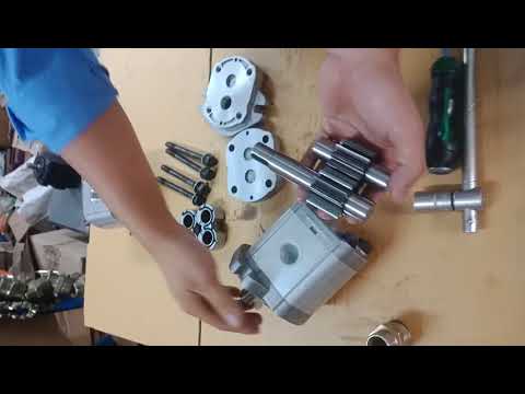 Video Đổi chiều quay của bơm bánh răng - youtube