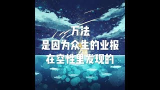 201803 万法是因为众生的业报在空性里发现的23790