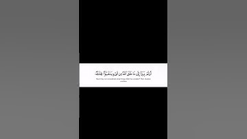 {أولَم يَرَوا إلَىٰ مَا خَلَق ٱللَّهُ مِن شىءٍ يَتفيَّؤُا ظِلَٰلهُ} #سورة_النحل #ياسر_الدوسري #quran