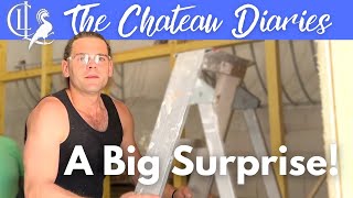 Amaury in SHOCK! | Chateau life is full of surprises...