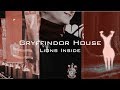 Gryffindor house lions inside