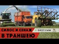 Заготовка сенажа в траншею