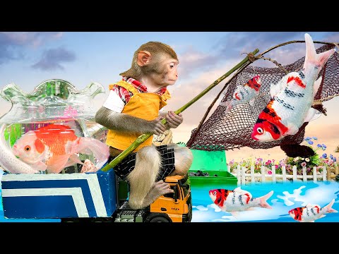 Funniest Animals 2023