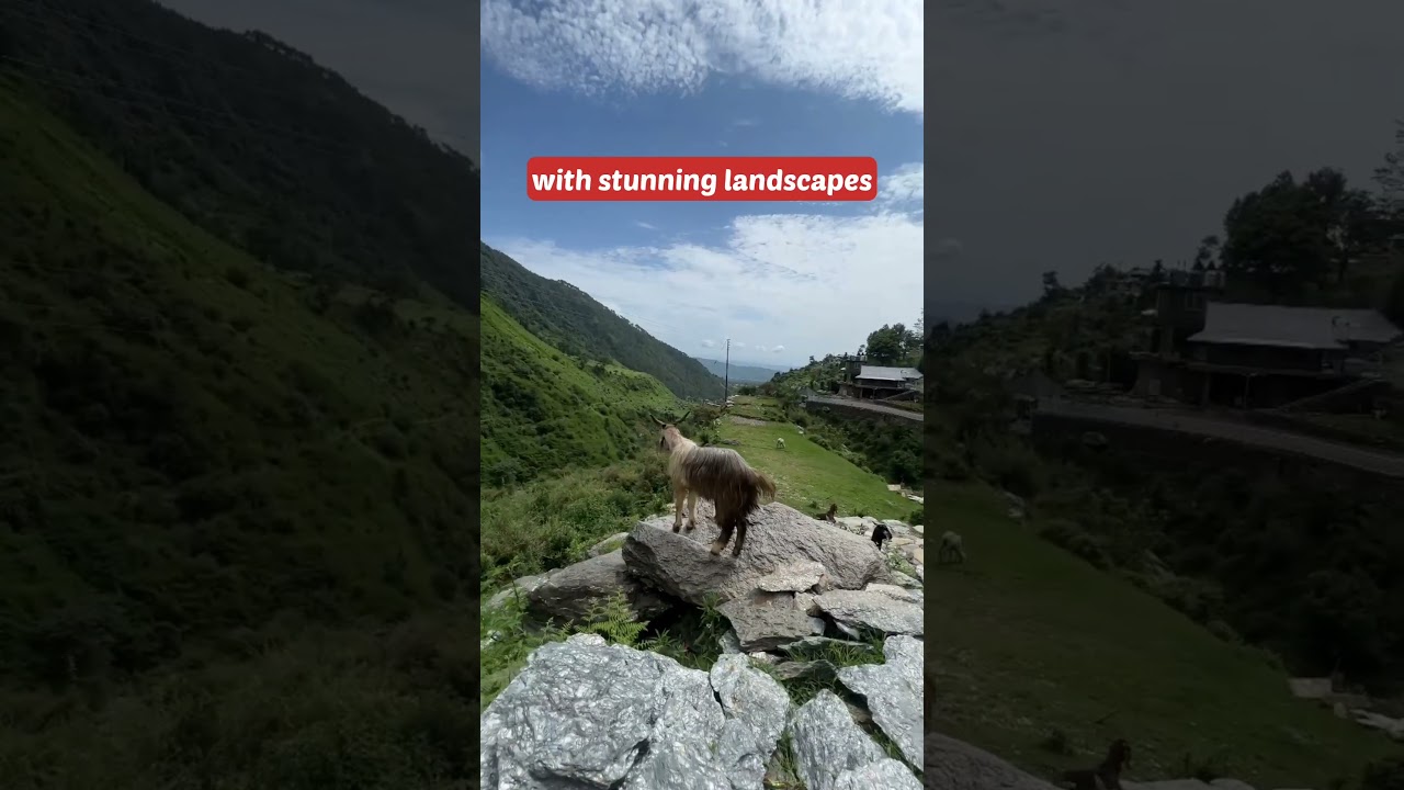 Bangoru Hidden Waterfall | Bangoru waterfall trek | 