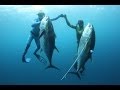 Панамские Будни #2. Первая Охота. Panamanian Weekdays. First Spearfishing.