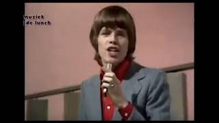 Herman's Hermits ~ Sunshine Girl 1968 (w/lyrics) [HD]