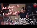 Animals as leaders  physical education drum playthrough