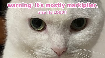 random videos i have saved on my camera roll