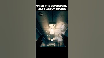 When Developers Care About Details