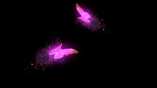 Pink Neon Butterfly Black Screen Animation l Butterfly Over Layer l Flying Butterfly Effect