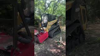 Forestry Mulching a HUGE SLOPE. #asv #brushclearing #landclearing #fecon