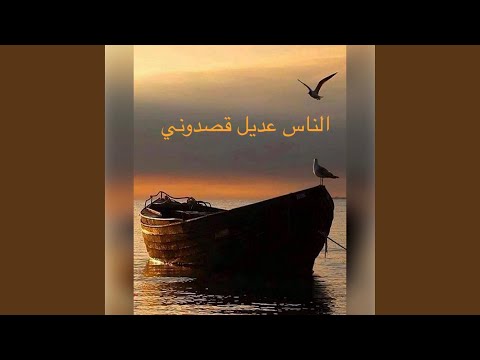 الناس عديل قصدوني