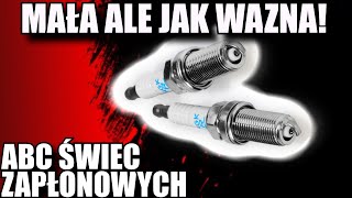 MAŁA ALE JAK WAŻNA! Czyli jak mało WIEMY o ŚWIECACH ZAPŁONOWYCH!