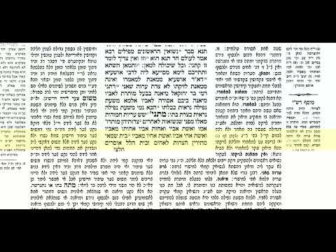 יבמות דף יד