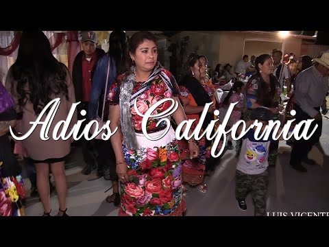 Adios California - Aventureros Principes De La Musica Purhepecha Pirekua CPP 2022 Ocumicho Michoacan