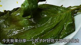 延边麦子用苏子叶做泡菜，简单美味，配米饭和烤肉最适合！