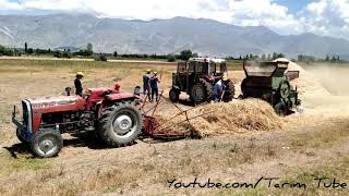 Patoz Sezonunu Açtık Massey Ferguson 265S 240S