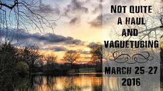 Vlog March 25-27, 2016: Vaguetubing?