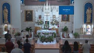 Holy Mass 12, SIXTEENTH SUNDAY IN ORDINARY TIME, July 19, 2026
