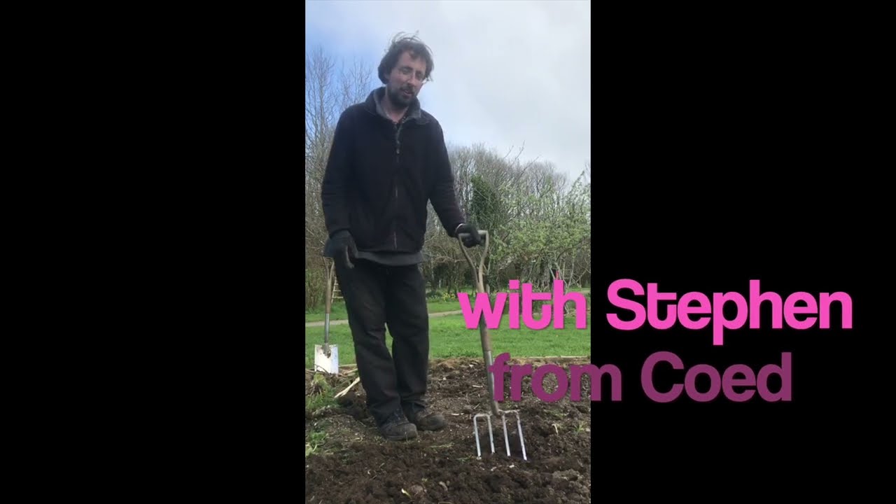 GGGrowalong: Stephen digs a trench and sows some peas