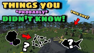 Do YOU Know About These? - Uncommon Knowledge - Easter Eggs - Weird Game Mechanics - Runescape 3 Wealth