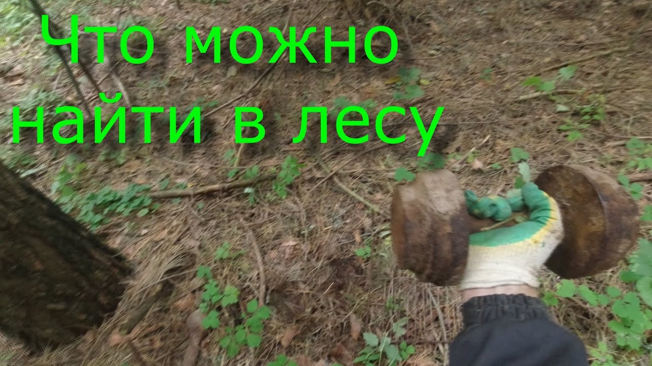 Коп металлолома. Коп в лесу. Серия 57 - YouTube