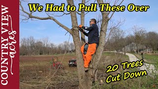 Cutting down trees in old fence row along driveway.  Doesn't always go as planned. by Country View Acres 65,698 views 1 month ago 21 minutes