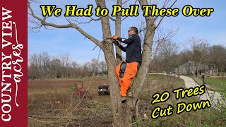 Cutting down trees in old fence row along driveway. Doesn't always go as planned.