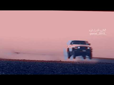 شيلة : مايجدد علة القلب من عقب دلها