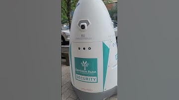 Security robot