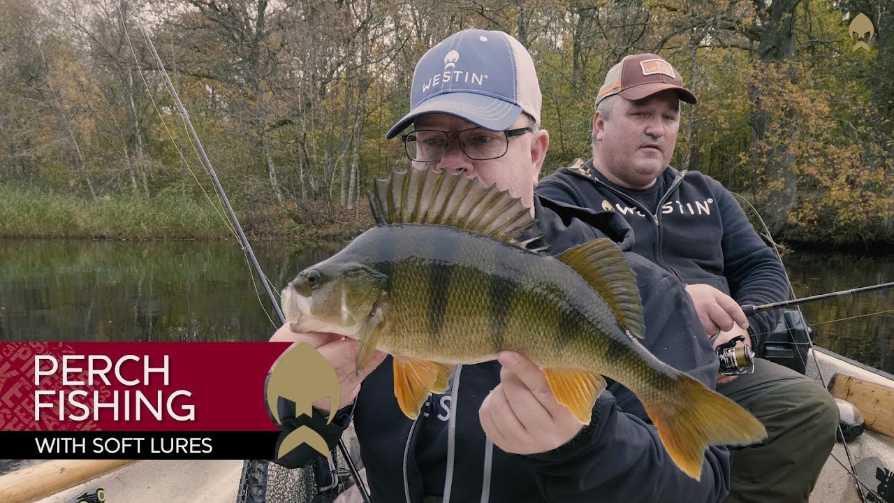 perch fishing tackle