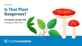 Is That Plant Dangerous? | Christopher Bazzoli, MD