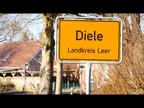 Fünf Fakten über