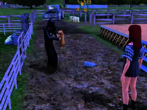 Video: The Sims 3 Kæledyr