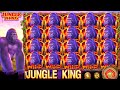 Jungle King JILI Slot 2025 Free Gameplay Tips How To Play Guide