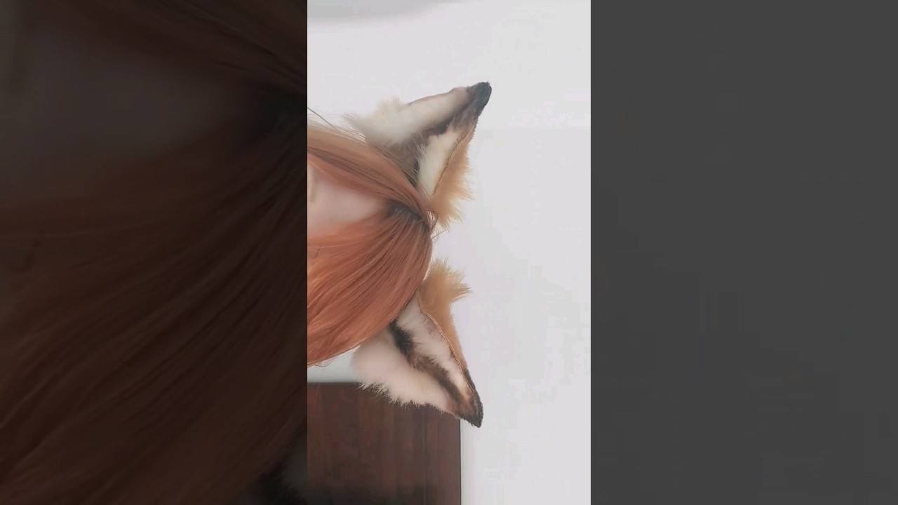 How to Make Fox Ears #halloween #shorts #diy