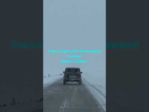 Видео: Дзен https://dzen.ru/id/63ff2037f4703b15cab3ac7e