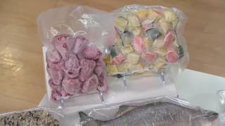 Foodsaver Compact Vacuum Sealer with Handheld Adapter on QVC