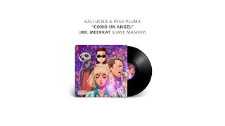 KALI UCHIS & PESO PLUMA - IGUAL QUE UN ANGEL REMIX (MR. MEERKAT MASHUP - SUAVE)