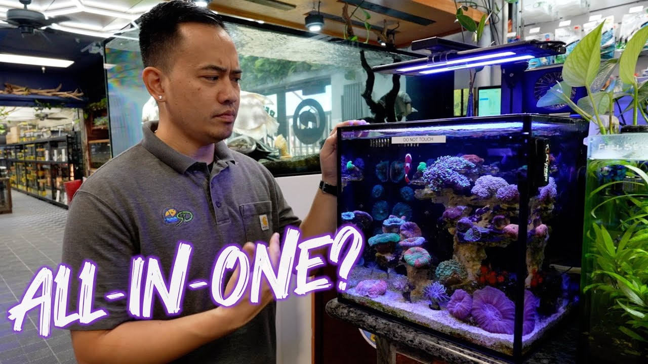 HELLO REEF ALL-IN-ONE SALTWATER KIT UNBOXING | HOW TO SET UP A ...