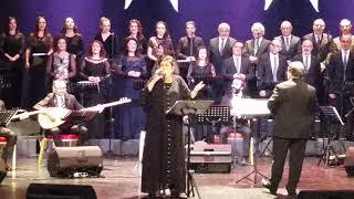 Ümmühan Yazar - Şu Dağlar Karlı Dağlar Gule