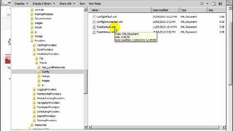 DotNetNuke Tutorial, Pick and choose the features on RAD Editor - Video #133