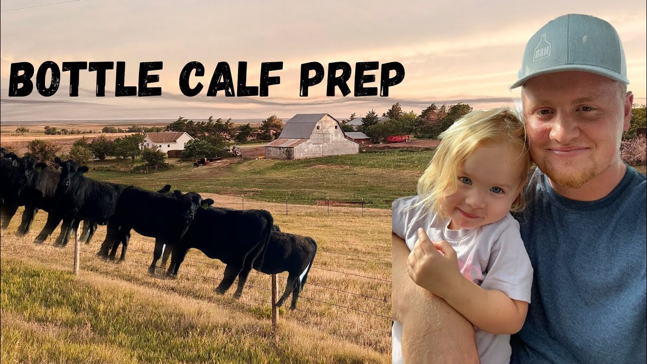 How I PREP And Raise BOTTLE CALVES YouTube how-i-prep-and-raise-bottle-calves-youtube