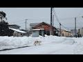 雪の青森・つがる鉄道金木駅周辺 - Snowy Tsugaru: A Winter Stroll in Kanagi, Aomori【4K Japan Walk】
