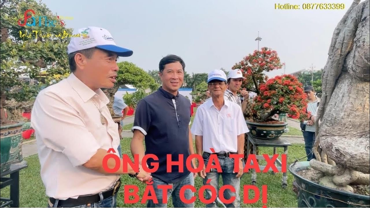 Vào Quảng Ngãi dự triển lãm ông Hoà Taxi bắt nhanh cây Cóc Dị của anh Nghĩa Lê