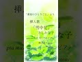 「薬屋のひとりごと」より|挿入歌|「雪中花」きしかな子|pia musicオリジナルピアノ弾き語りcover♡✨#薬屋のひとりごと#歌ってみた #ピアノ弾き語り #piamusic