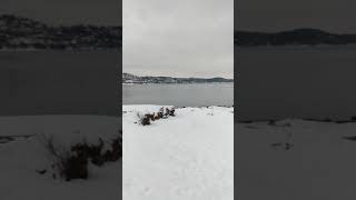 Island View, Ulvøya
