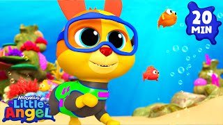 bingo goes swimming animal learning videos little angel kids songs nursery rhymes