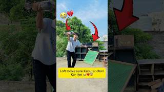 loft todke sare kabutar chori kar liye 😭💔😱 #minivlog #viral #shorts